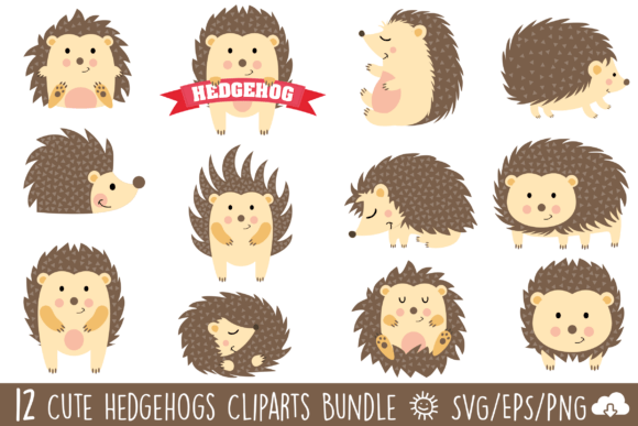 Cute Hedgehog Vector Clipart Bundle: Graphics & Illustrations