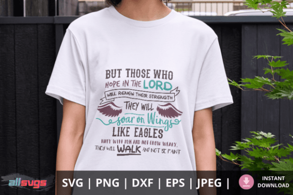 Soar on Wings Like Eagles – Isaiah 40 31 Review