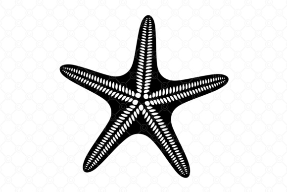 Starfish SVG Silhouette 031: Graphics for Crafts