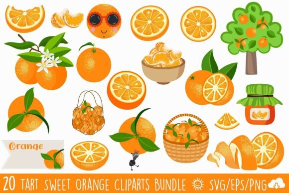 Tart Sweet Orange Vector ClipArt Bundle: Graphics & Illustrations Review