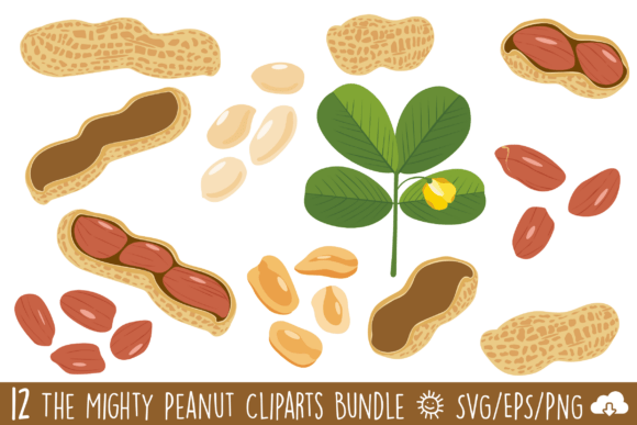 The Mighty Peanut Graphics & Illustrations